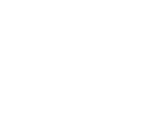 Mantención Profesional de Áreas Verdes para Empresas e Instituciones