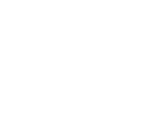 Manejo Profesional del Arbolado Urbano: Poda, Tala y Trasplante para Empresas